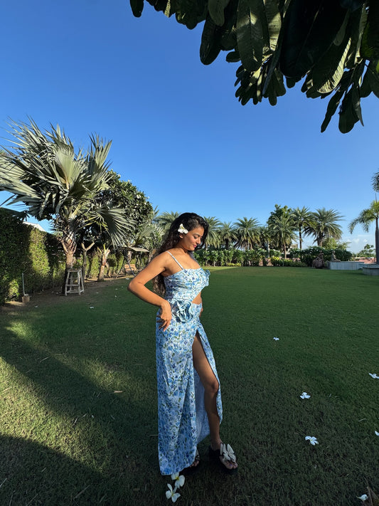 Blue Bloom Silhouette Set